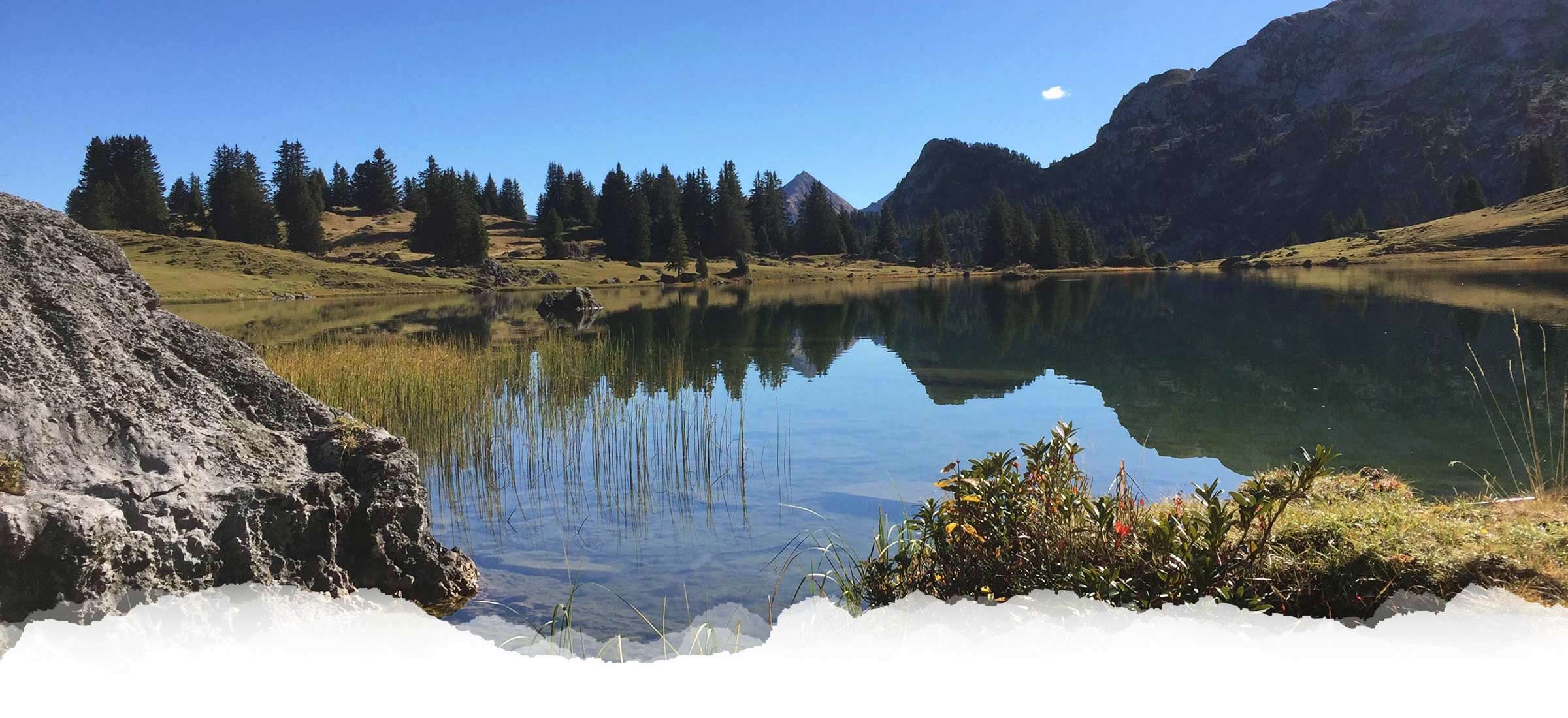 alpnesstrail